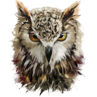 Owl Painted Hand Vector Deviantart Painting Drawing