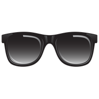 Sunglasses Ray-Ban Black Carrera Wayfarer Aviator