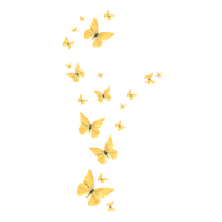 Butterfly Golden HQ Image Free PNG