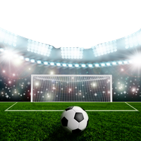 Goal Football Soccer-Specific Field Stadium Pitch Soccer