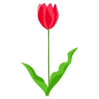 Tulip Plate-Bande Flower Illustration PNG Download Free