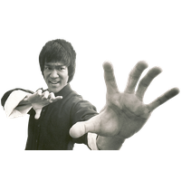 Bruce Lee Png Picture