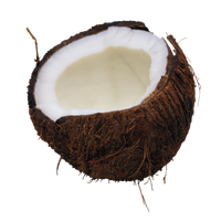 Coconut Png Image
