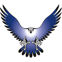 Falcon Png Image