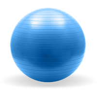 Gym Ball Png Picture