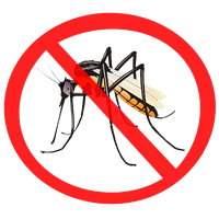 Mosquito Png