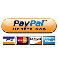 Paypal Donate Button High-Quality Png