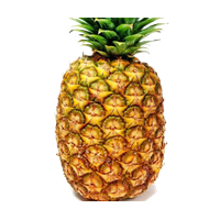 Pineapple Png Image