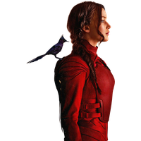 The Hunger Games Free Png Image