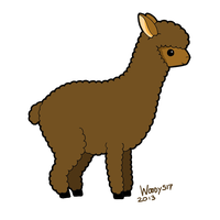 Pony Donkey Alpaca Drawing Llama Download Free Image