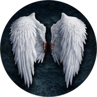 Feather Lucifer Castiel Angel Wing PNG File HD