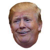 Funny Head Trump Youtube Up Face Donald