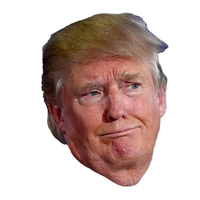 Funny United Trump Face States Donald Chin