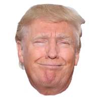 Head United Trump Up States Donald Close