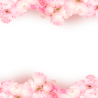 Pink Rose Flowers Heart Free PNG HQ