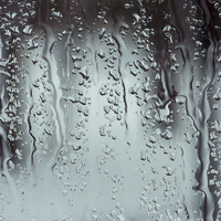 Frost Window Drop Tree Rain Free Download PNG HD