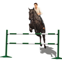 Sims Horse Show Jumping Pets English Riding