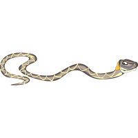 Reptile Snake Slitherio Viper Free Clipart HD