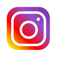 Instagram Media Symbol Social Login Circle