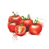 Tomato Cuisine Organic Food Juice Bush Italian