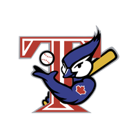 Toronto Blue Vertebrate Logo Jays Raptors Cartoon