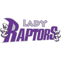 Toronto Basketball Purple Text Logo Raptors
