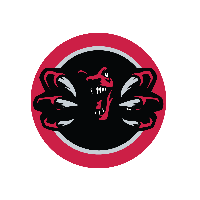 Toronto 905 Brand Logo Nba Raptors