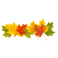 Autumn Color Leaf Tree Free Transparent Image HD