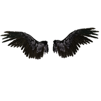 Eagle Neck Drawing Castiel Wings Free HQ Image