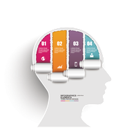 Brain Product Infographic Design Chart Download HQ PNG