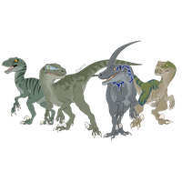 Velociraptor Dinosaur Park Drawing Jurassic Download HD PNG