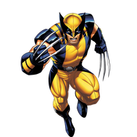 Superhero Spiderman Pollinator Wolverine Iron Man