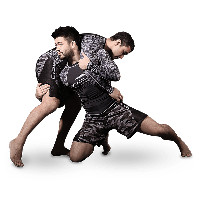 Grappling Arts Martial Performing Wrestling Joint