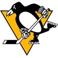 League Pittsburgh National Nashville Yellow Penguins Hockey