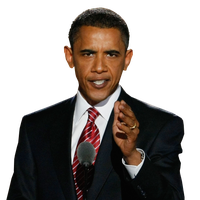 States United Necktie Barack Wear Obama Panda