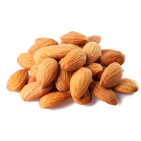 Almond Free Png Image