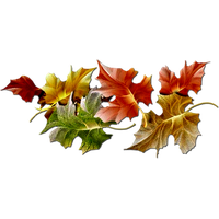 Autumn Png Hd