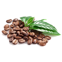 Coffee Beans Png Clipart