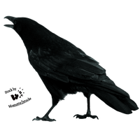 Crow Free Download Png