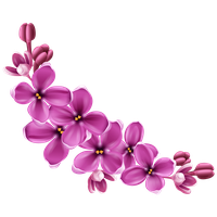 Flowers Png 9