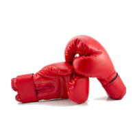 Gloves Png Clipart