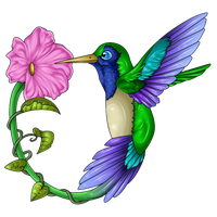 Hummingbird Tattoos Free Download Png