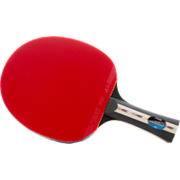 Ping Pong Png Picture