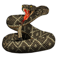 Rattlesnake Png File