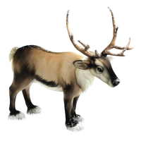 Reindeer Png Clipart
