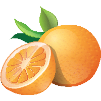 Orange Png Image Download