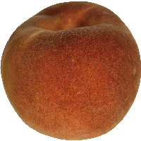 Peach Png Image