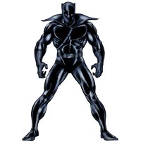 Superhero Panther Universe Cinematic Black Storm Supernatural