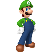 Smash For 3Ds Boy Luigi Bros