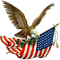 Eagle Memorial Parade Day Holiday Bird